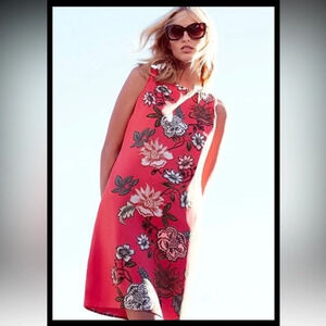 Vince Camuto Womens Guava Fruit Floral Sleeveless Shift Dress Size 12P